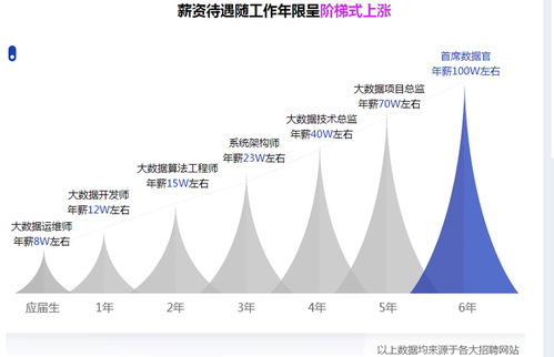 大數(shù)據(jù)存在的意義 挖掘商業(yè)背后的智慧